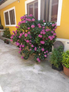 IN Kala